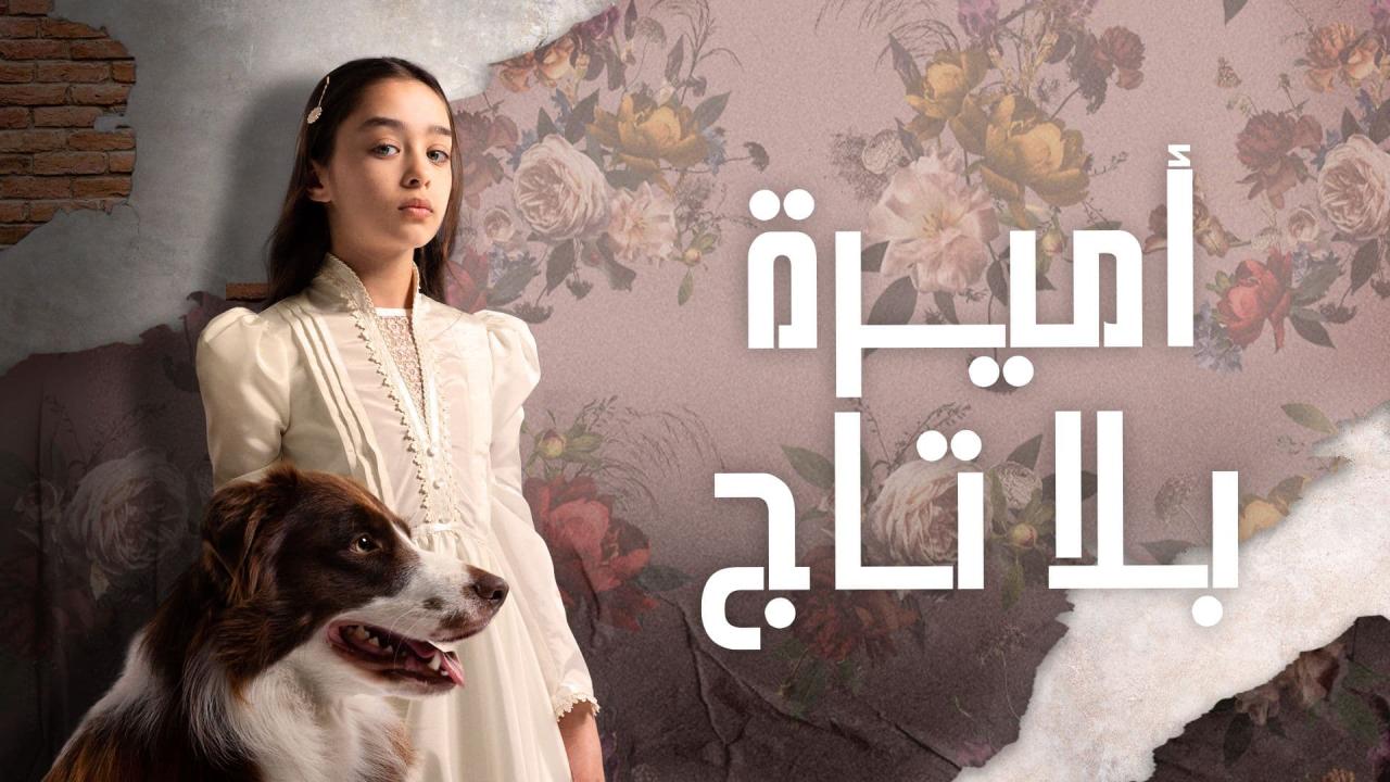 مسلسل اميرة بلا تاج الحلقة 65 والاخيرة مدبلجة HD