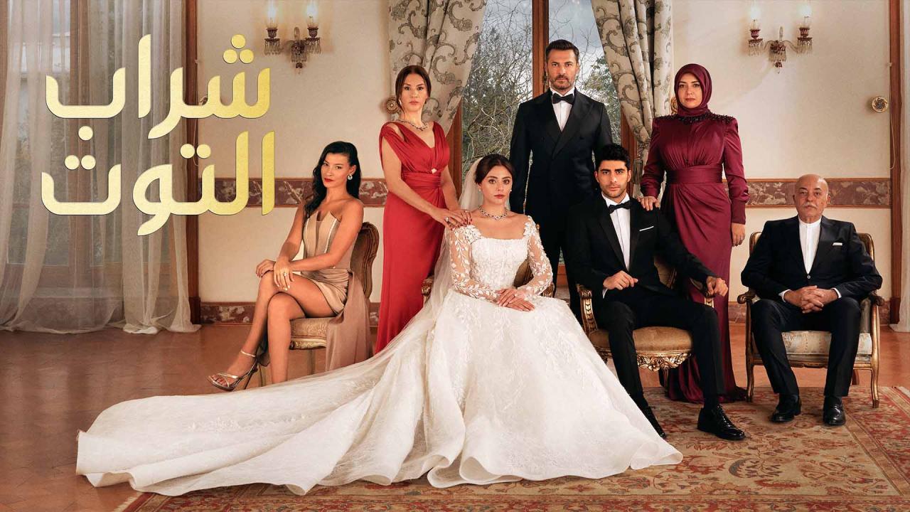 مسلسل شراب التوت الحلقة 219 مدبلجة HD